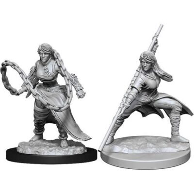 D&D Nolzur's Marvelous Miniatures - Human Monk